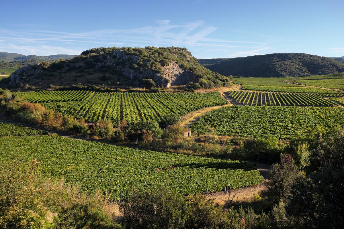 languedoc paysage