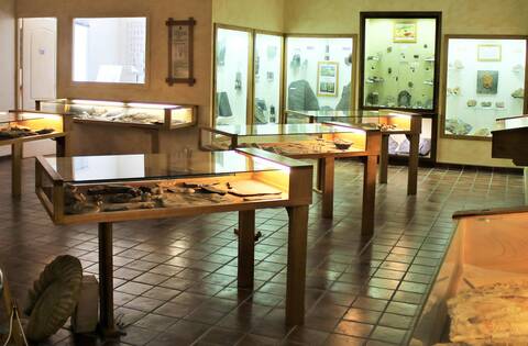 Vitrines de la maison du Cambrien à Berlou ©F.Renerre