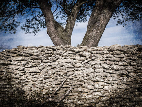 Faugères / Pays hlv, H. Baïs