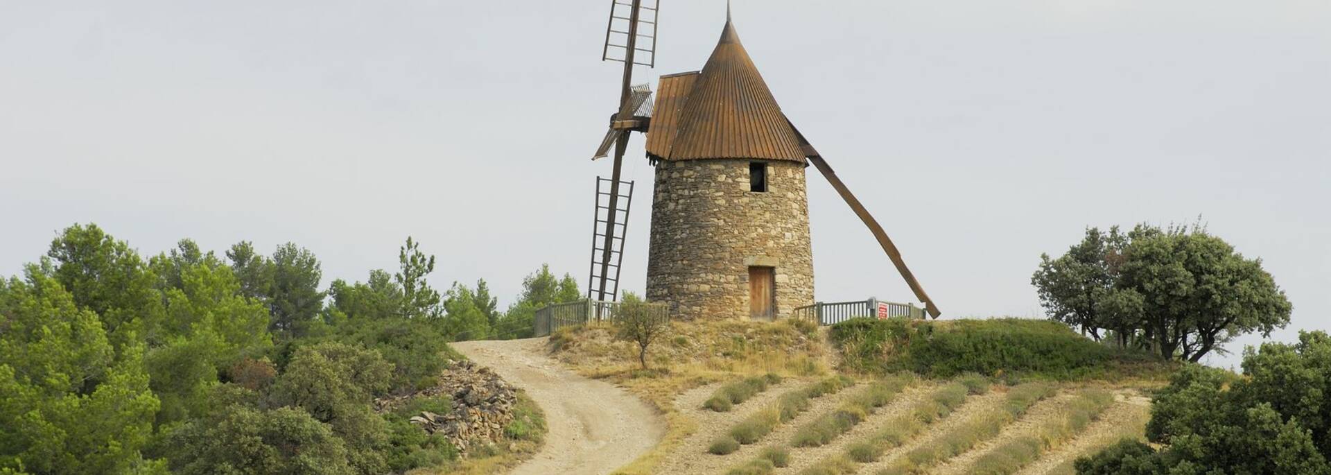 Le moulin à vent de Félines-Minervois