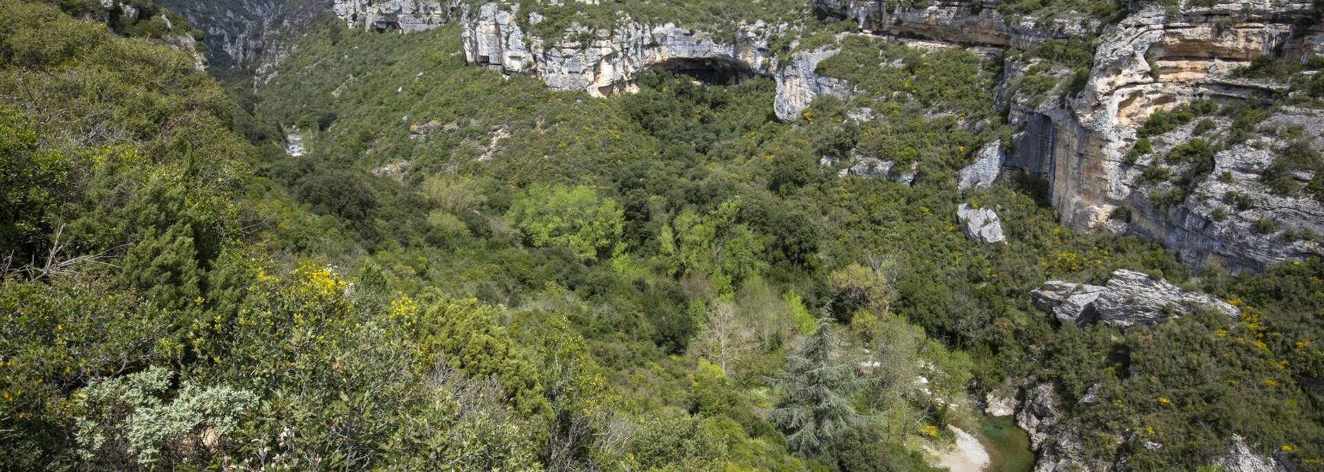Les gorges de la Cesse en amont du moulin d'Azam
