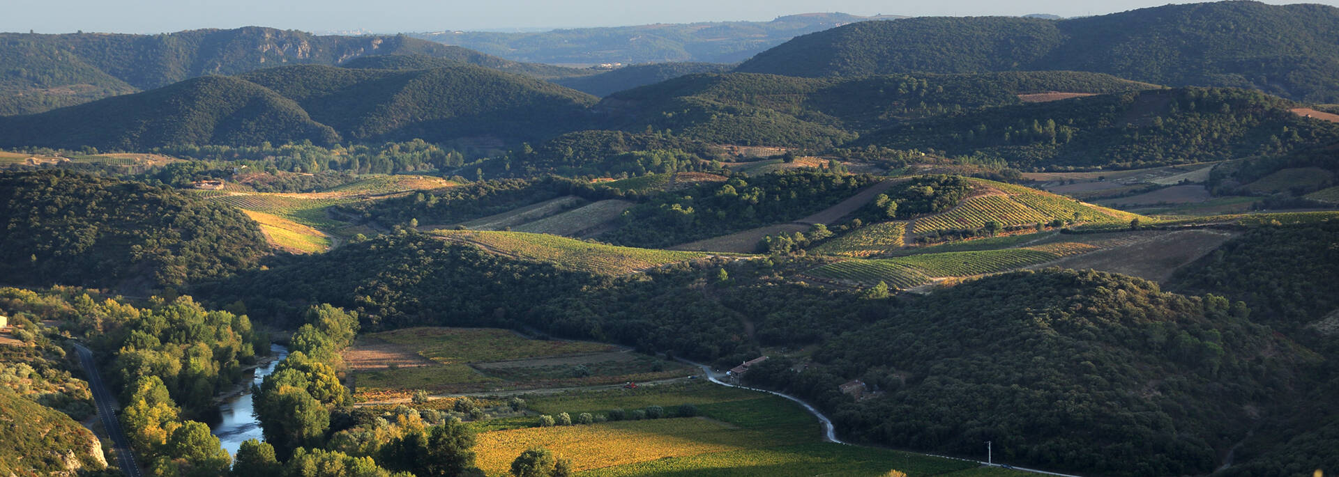 Vignobles et vallée de l'Orb ©G.Souche