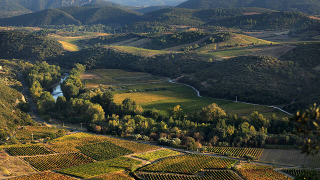 Autour de Roquebrun©G.Souche-PHLV