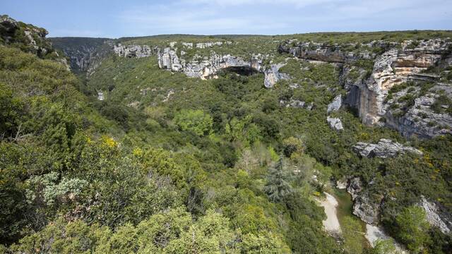 Les gorges de la Cesse en amont du moulin d'Azam