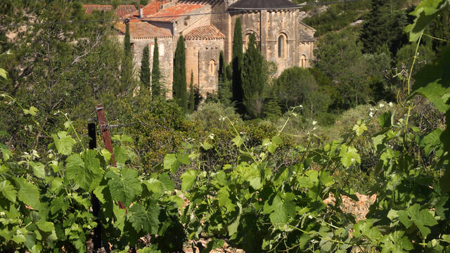 Vignes et Abbaye de Fontcaude ©G.Souche