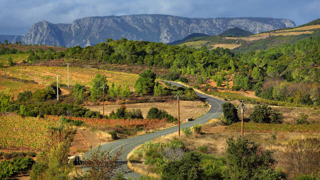Nos routes des Vins
