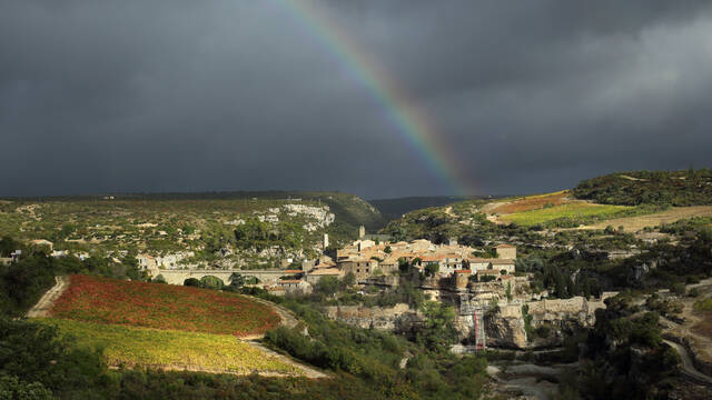 Village vigne causse Languedoc