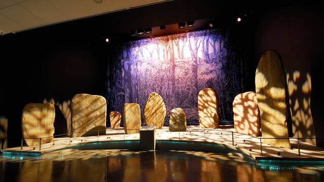 Musée de Préhistoire régionale