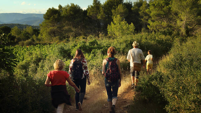 randonneurs garrigues chemin