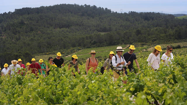 groupe dans le cadre d'une balade vigneronne ©Georges Souche
