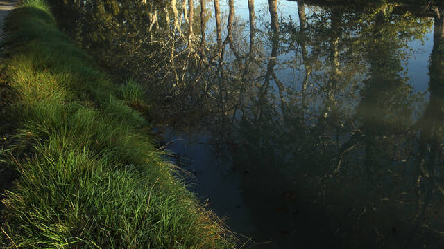 le canal du MIdi ©G.Souche