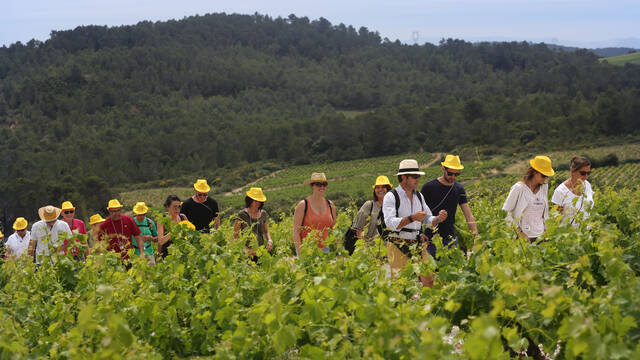 Balade Vigneronne ©G.Souche