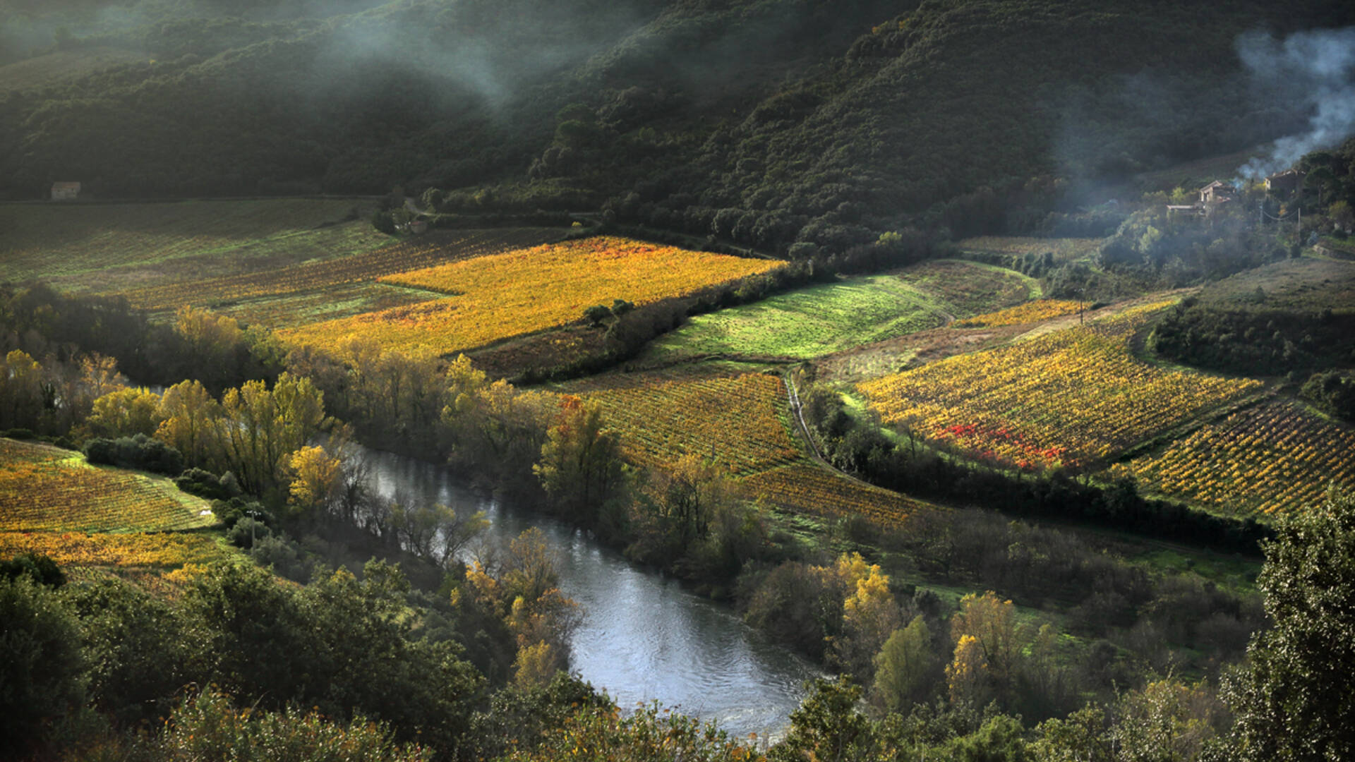 Vignes en bordure de l'Orb près de Roquebrun ©G.Souche-PaysHLV