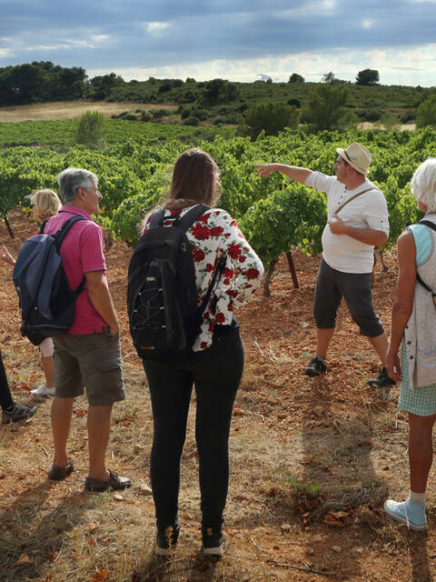 Balade dans les vignes © Georges Souche