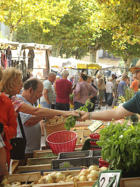 Le marché de Saint-Chinian ©G.Souche
