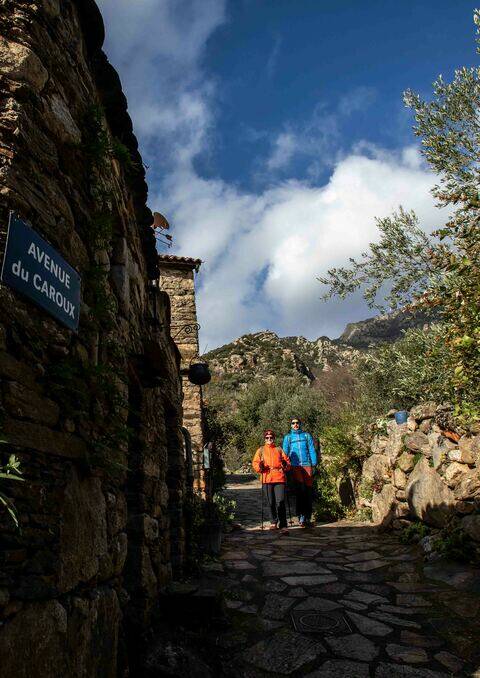 randonnées dans les Montagnes du Caroux - © Anthony ALLIES