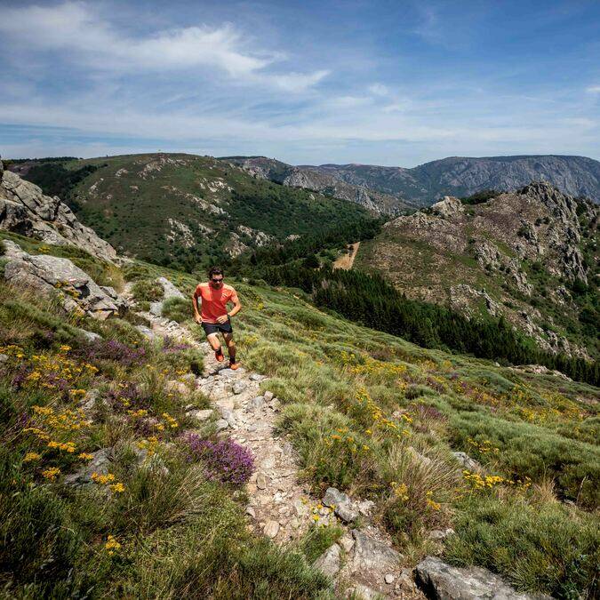 Trail Montagne du Caroux©A.Allies-PHLV