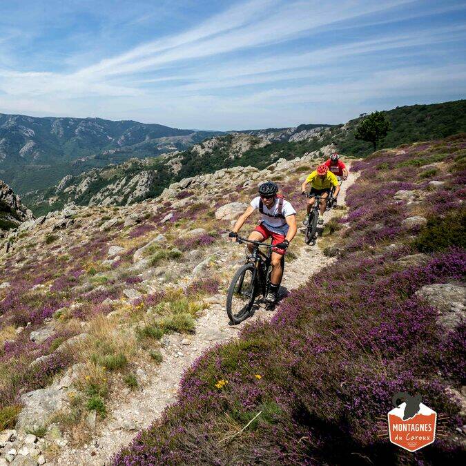 VTT Montagnes du Caroux©A.Allies-PaysHLV