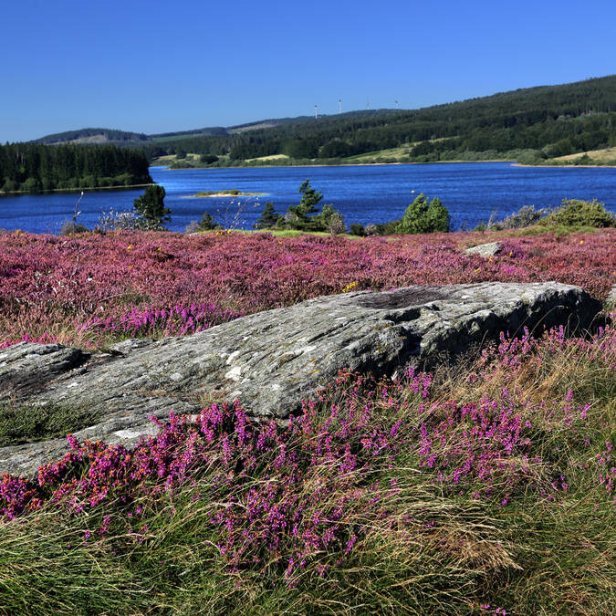 lac de Vésoles