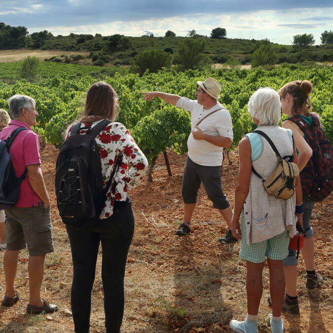 Balade dans les vignes © Georges Souche