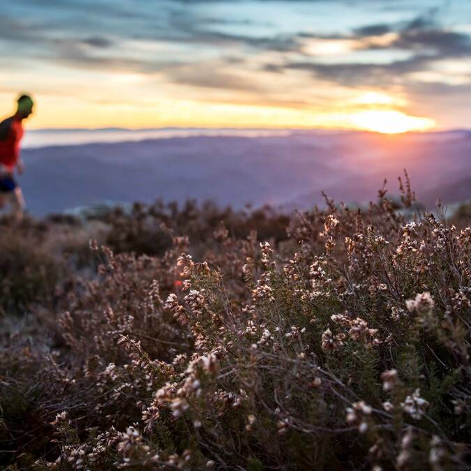 Trail sur le plateau