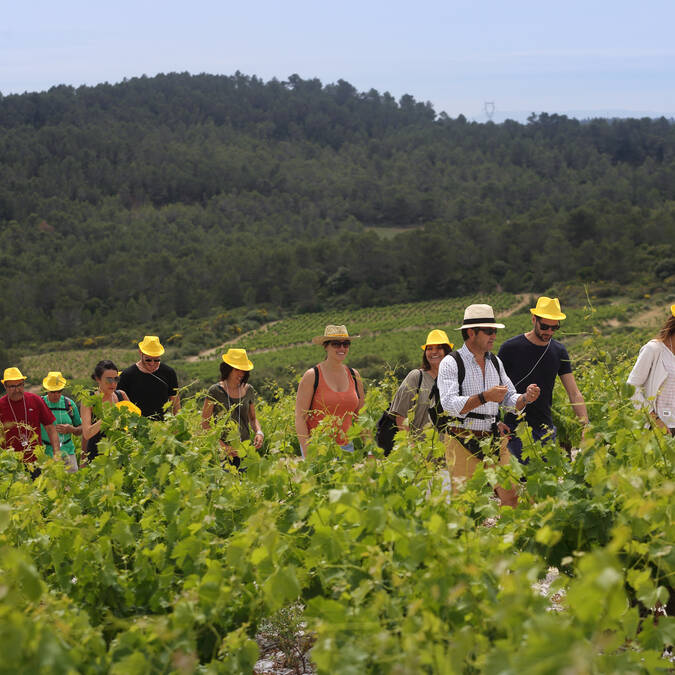 Balade Vigneronne ©G.Souche